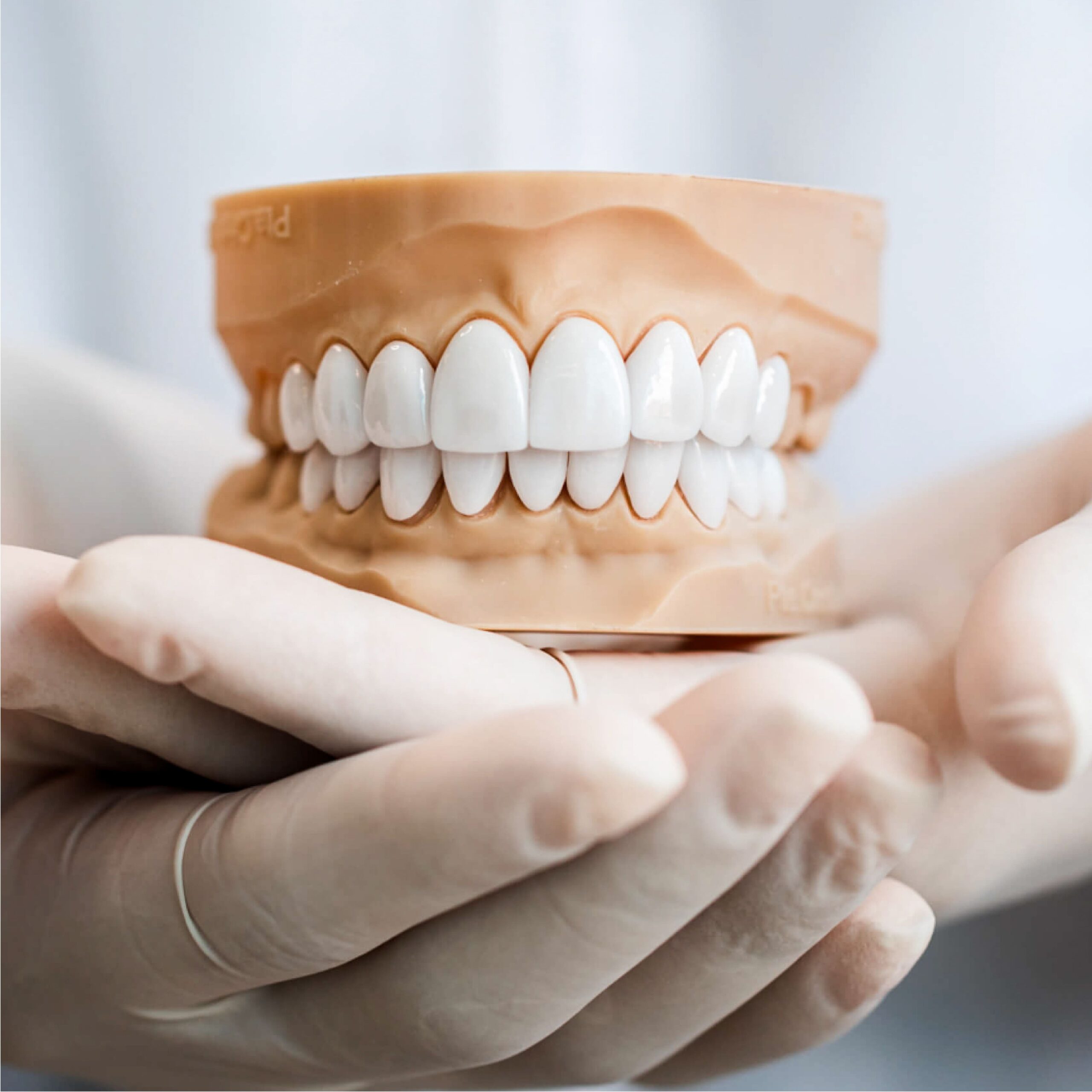 galeria_Mesa de trabajo 1 copia 4